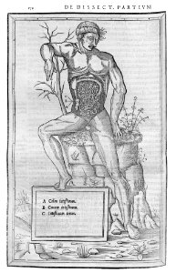 172 Charles Estienne 1545