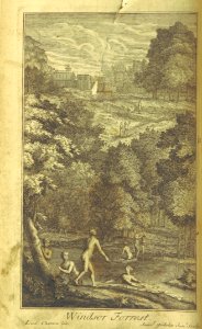 POPE(1720) Windsor Forest
