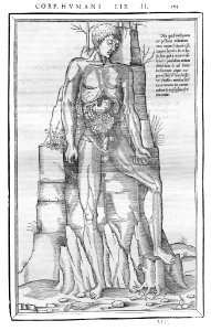 175 Charles Estienne 1545