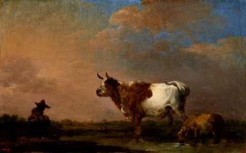 Casanova Cow and sheep on pasture