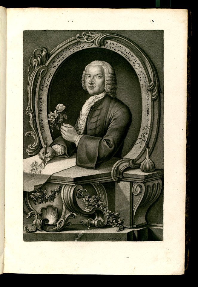 Ehret, Georgius Dionysius
