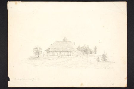 Waitangi (front view) (48752407331)