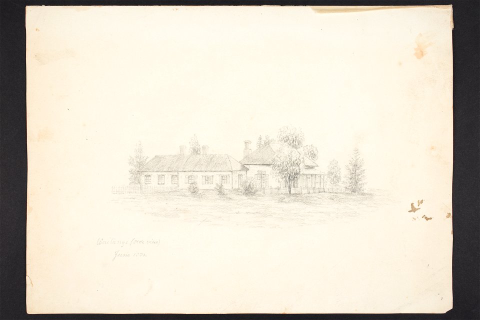 Waitangi (side view) (48752887043)