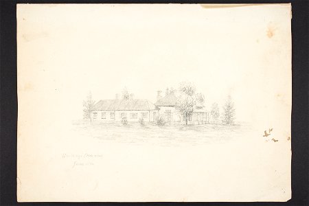 Waitangi (side view) (48752887043)