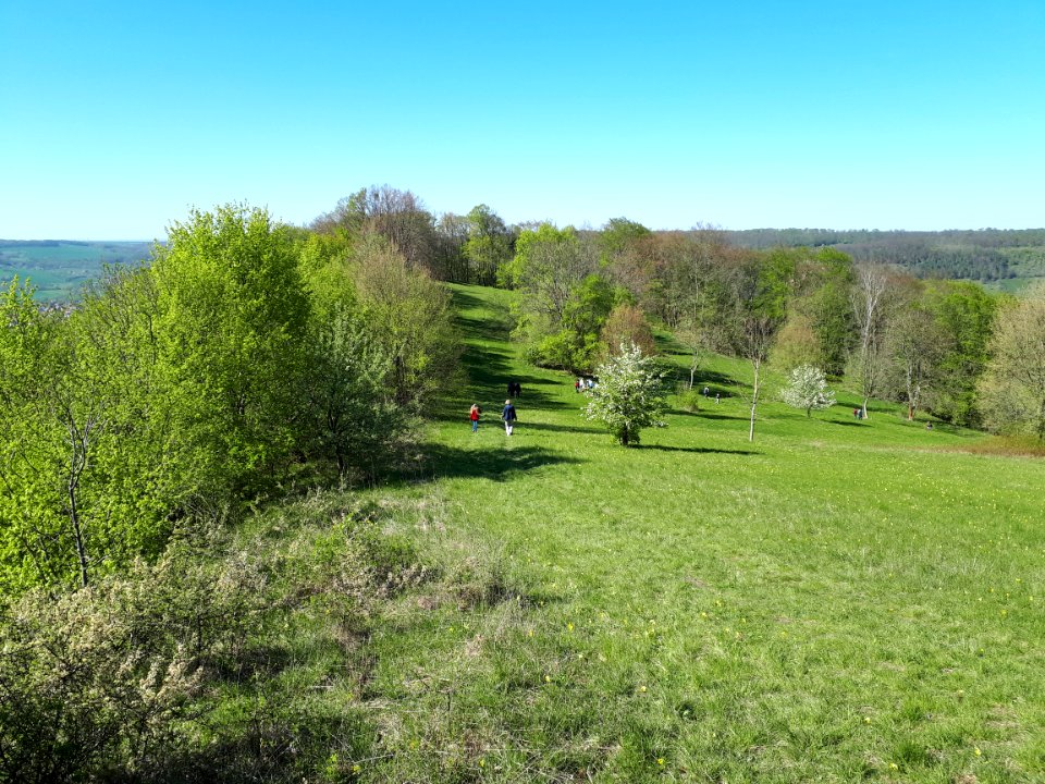 Alter Gleisberg Nördlicher Siedlungsbereich