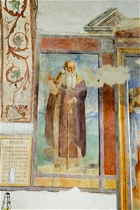 Ambito orvietano sec. XVI, Sant'Antonio abate, Todi