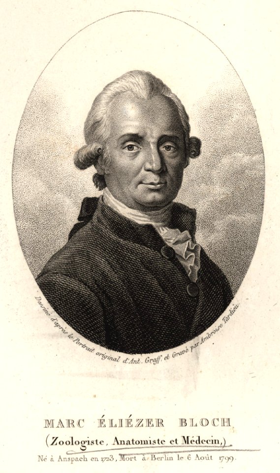Ambroise Tardieu12