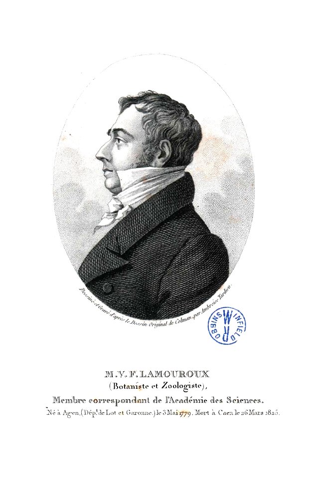 Ambroise Tardieu07