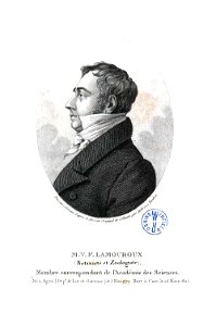 Ambroise Tardieu07