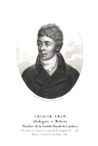 Ambroise Tardieu27