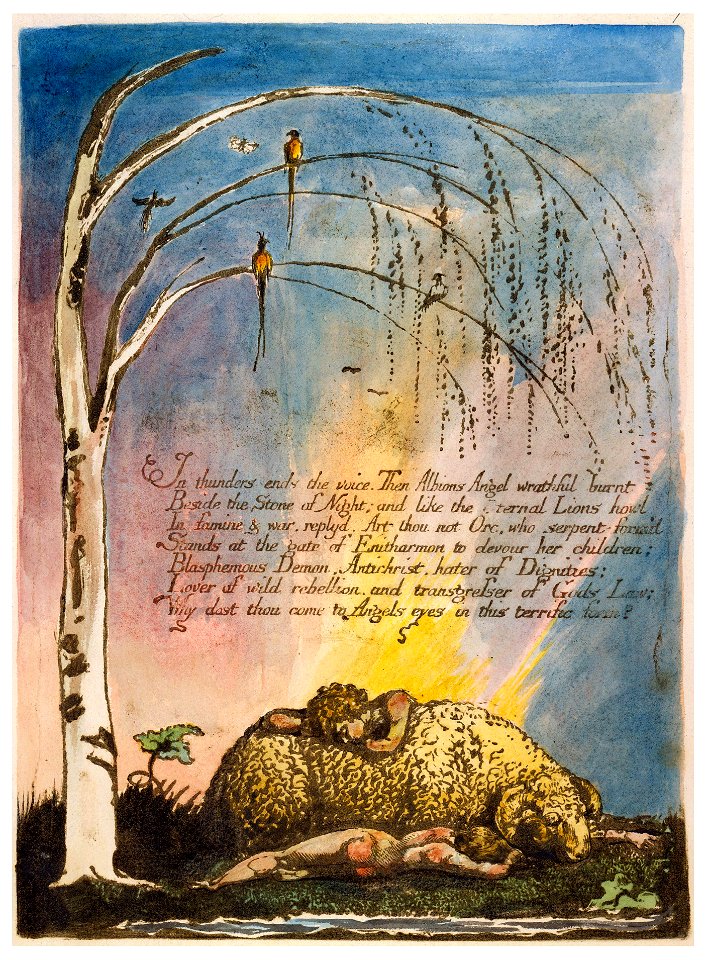America a Prophecy copy a plate 09