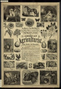 American agriculturist. Farm, garden, and household LCCN2003674212