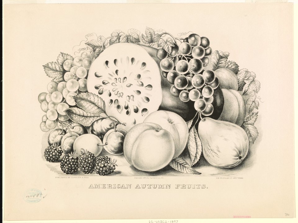 American autumn fruits LCCN90708496