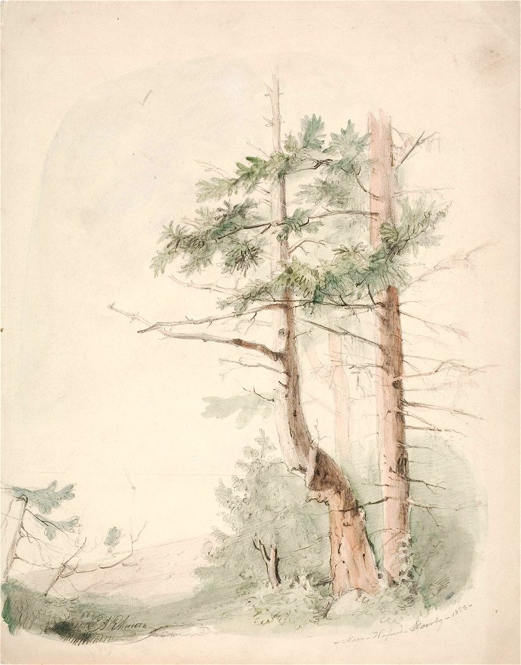 Anders Ekman - Seaside Landscape Nagu-Hafverö-Norrby - A I 610-35 - Finnish National Gallery