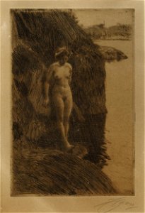 Anders Zorn - Dagmar (etching) 1909. Free illustration for personal and commercial use.