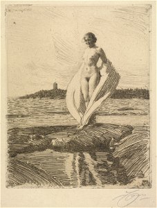 Anders Zorn (Swedish, 1860-1920) - The Swan - 1940.928 - Cleveland Museum of Art