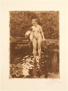 Anders Zorn - A Place to Wade (etching) 1912