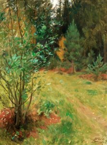 Anders Zorn - Landscape from Gopsmor 1917