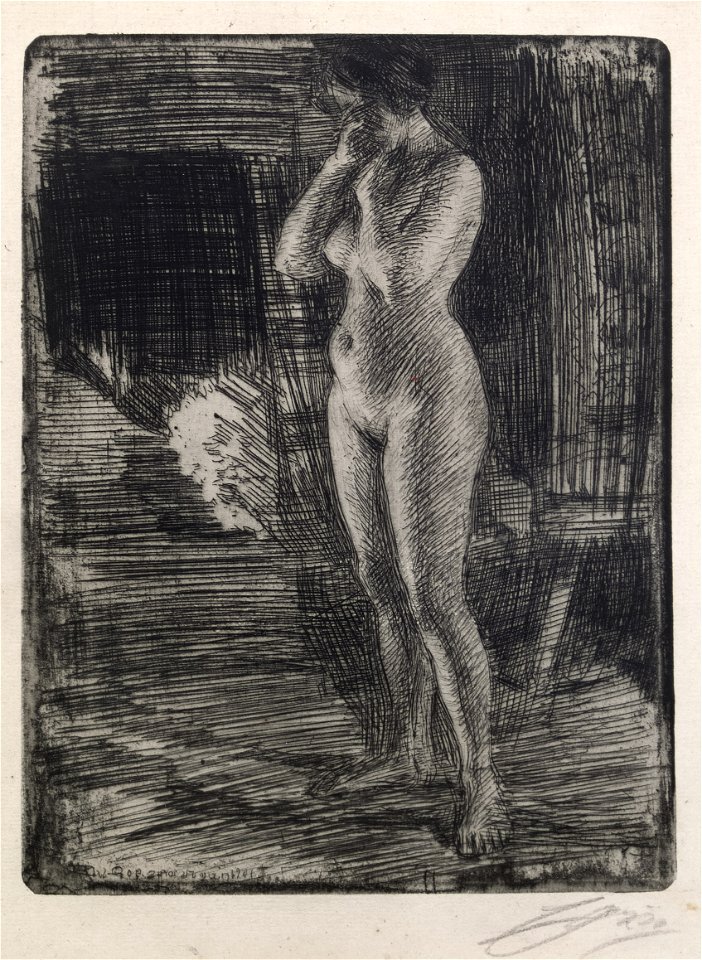 Anders Zorn First Seance Thielska 514