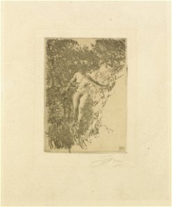 Anders Zorn - Thicket (etching) 1911. Free illustration for personal and commercial use.