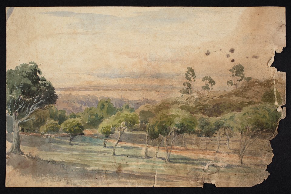 Auckland Domain where the cricket ground is. (48752228263)