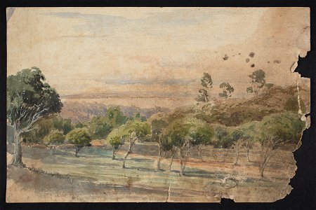 Auckland Domain where the cricket ground is. (48752228263)