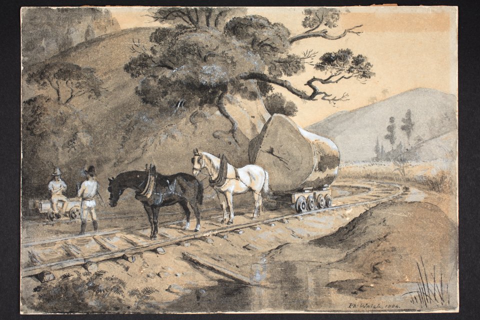 Bush railway with horses drawing kauri logs (48752319803)