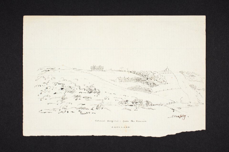 Colonial hospital from the Domain, Auckland (48752678406)