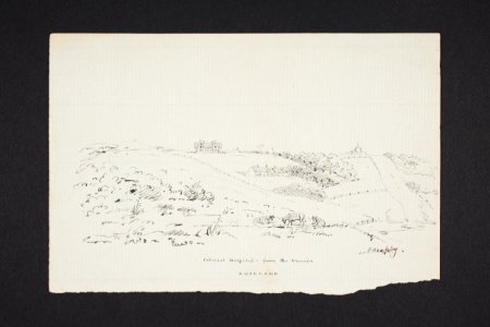 Colonial hospital from the Domain, Auckland (48752678406)