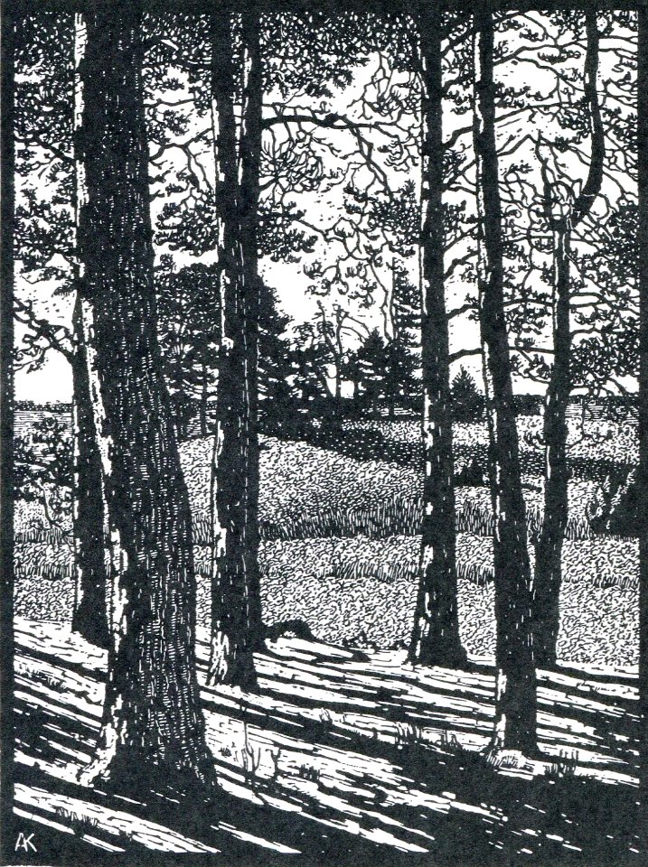 Albert König Abendsonne