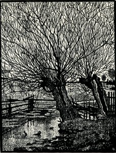 Albert König Alte Weiden