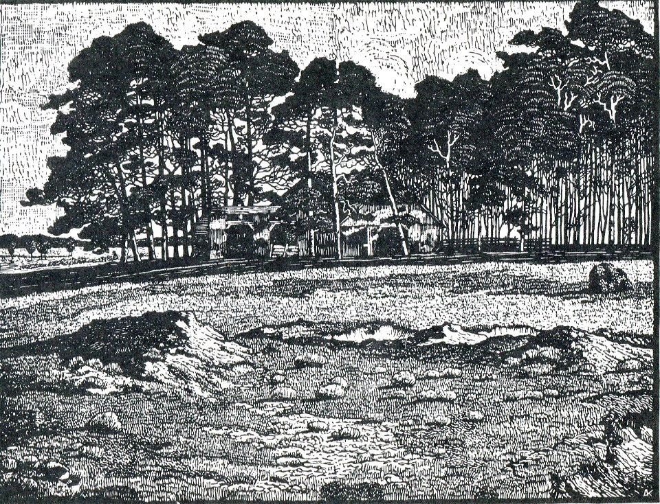 Albert König Kieferngruppe