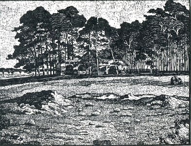Albert König Kieferngruppe
