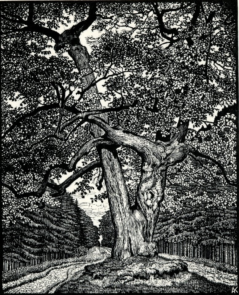 Albert König Halalilinde