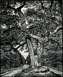 Albert König Halalilinde