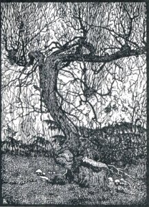 Albert König Wacholdergruppe IV