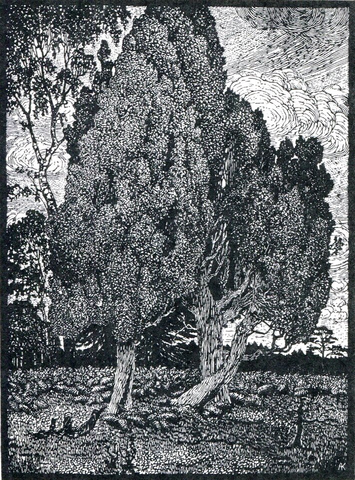 Albert König Wacholdergrupppe III