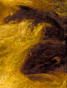 Albert Pinkham Ryder - Jonah - 1929.6.98 - Smithsonian American Art Museum. Free illustration for personal and commercial use.