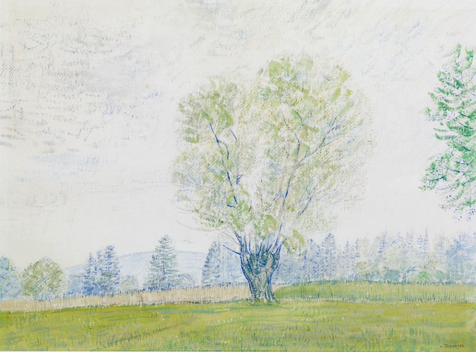 Albert Trachsel Landschaft mit freistehender Weide