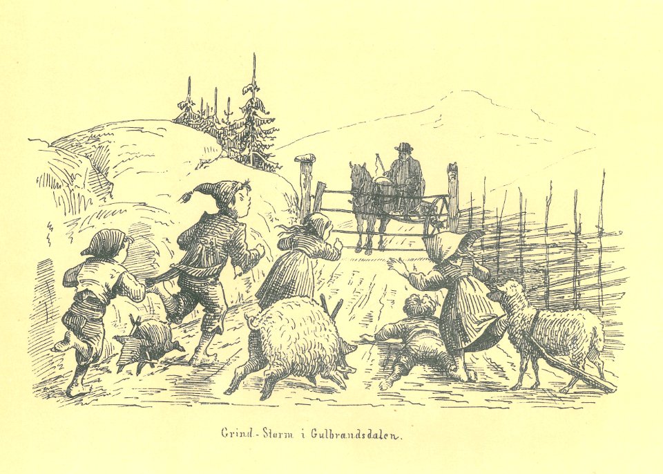 017 Diriks Skisser