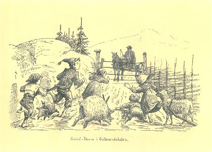 017 Diriks Skisser