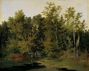 Anton Altmann - Waldlandschaft in Niederösterreich (ca. 1850)