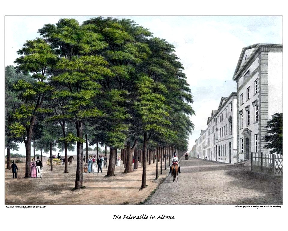 Altona Palmaille by Suhr