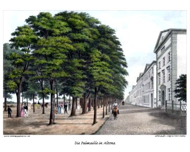 Altona Palmaille by Suhr