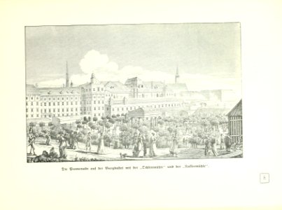 Altwiener Bilderbuch nach alten Stichen 0051