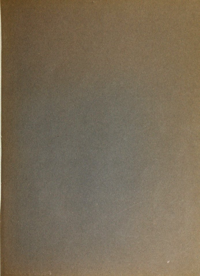 Altwiener Bilderbuch nach alten Stichen 0066
