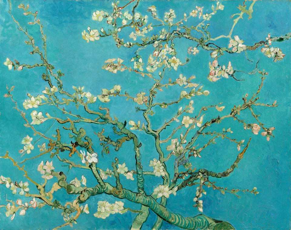 Amandelbloesem - s0176V1962 - Van Gogh Museum