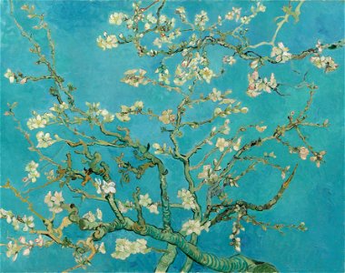 Amandelbloesem - s0176V1962 - Van Gogh Museum