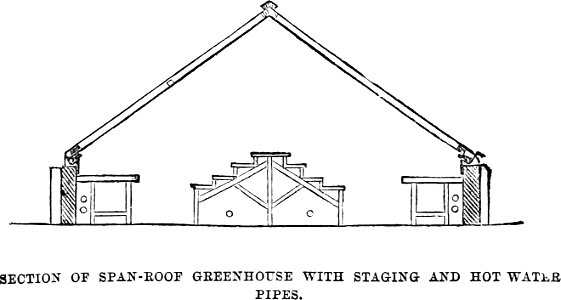 Amateurs Greenhouse Conservatory-0042
