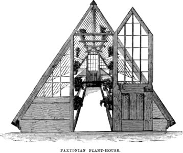 Amateurs Greenhouse Conservatory-0050